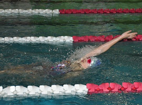 Pływacy MEYN SOLEX zdobyli 38 medali na pływalni 17307