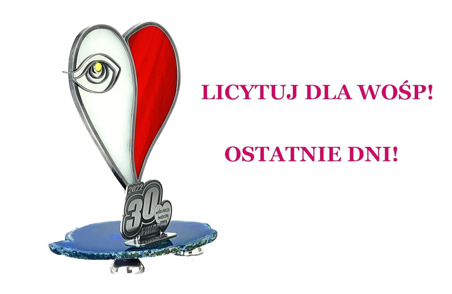 Licytuj dla WOŚP! Ostatnie dni!