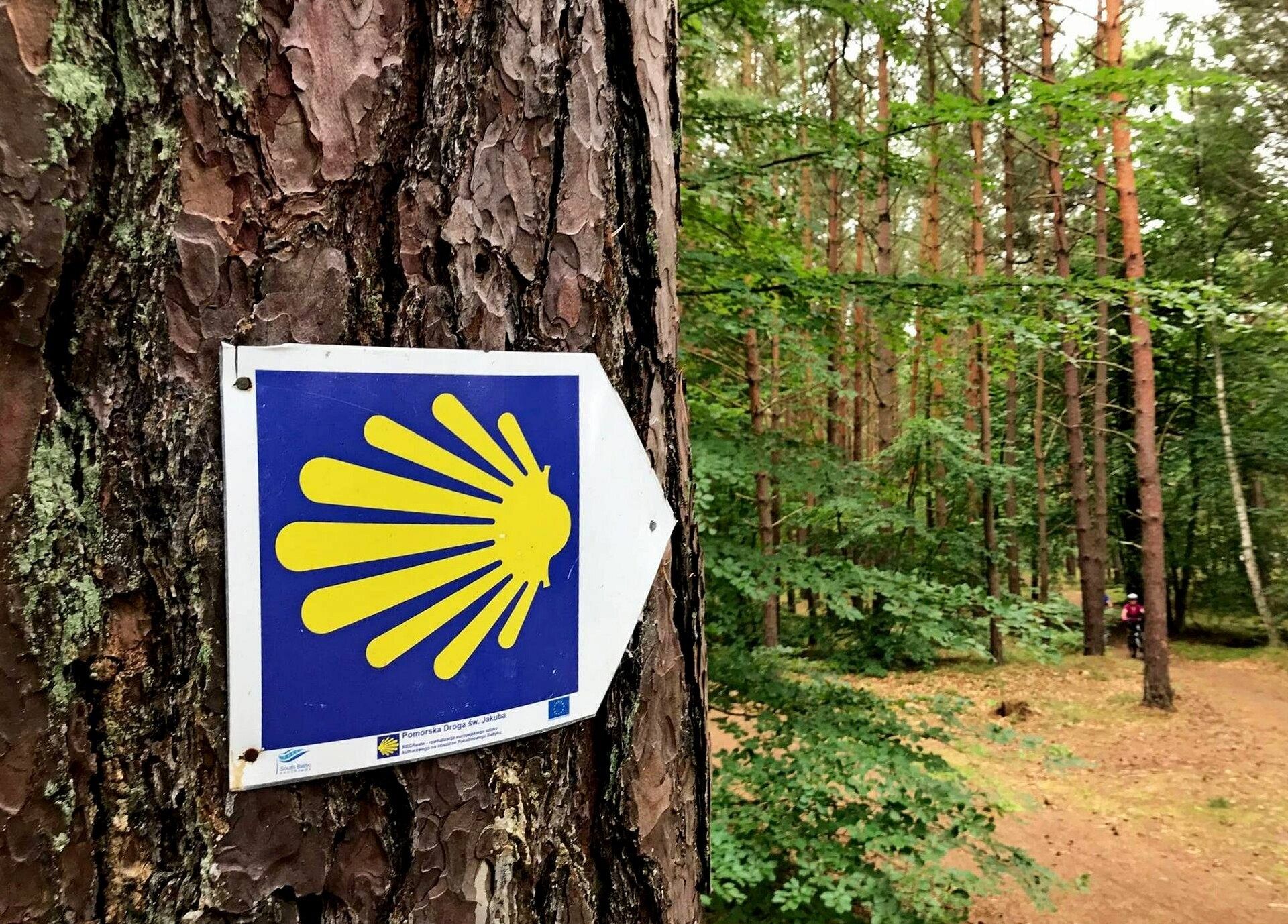 Camino od Jakuba do Jakuba: V etapowa pielgrzymka