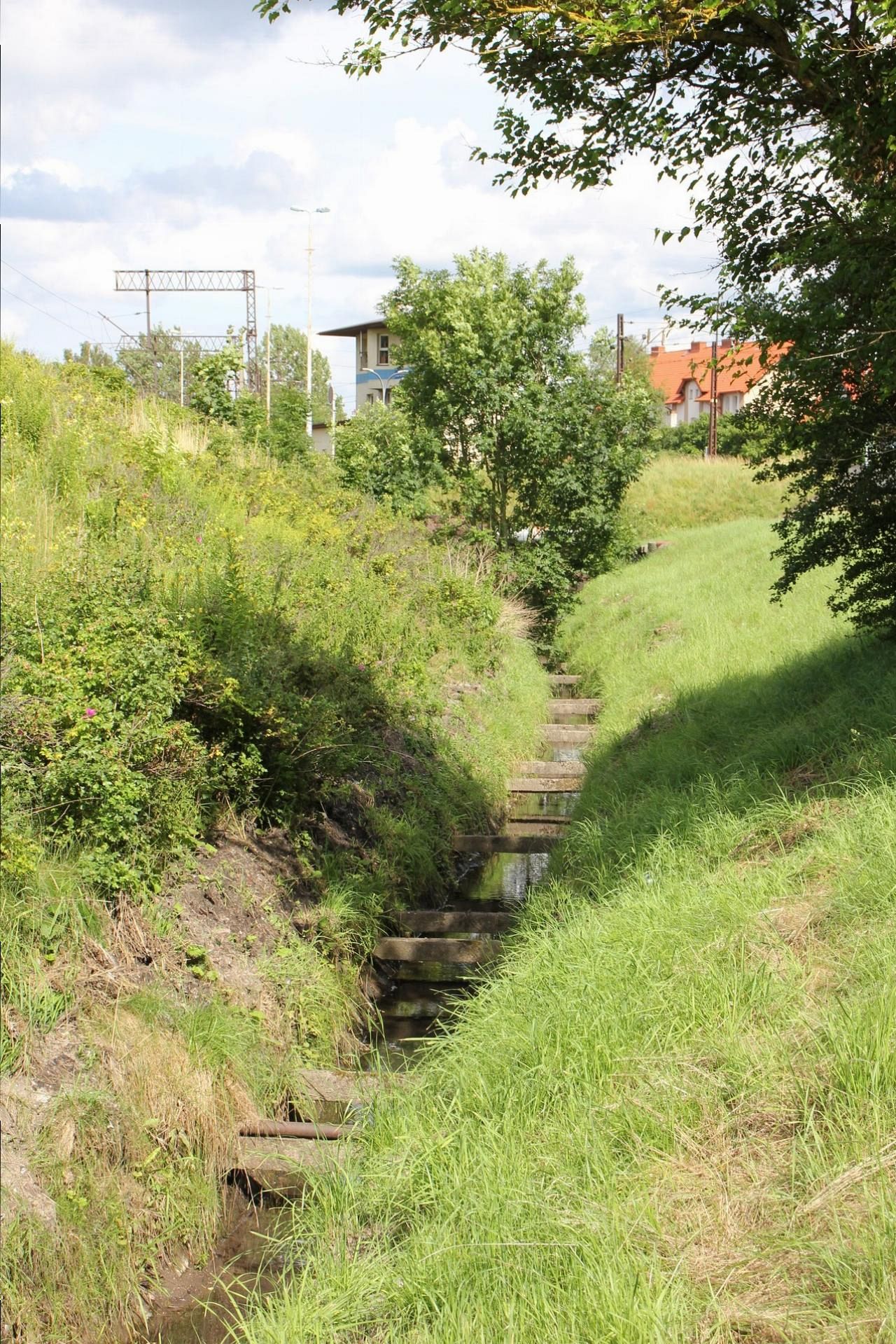 Akcja melioracja. Trwa koszenie i odmulanie rowów