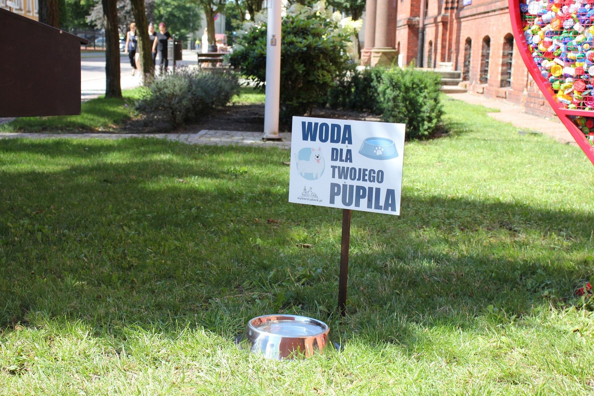 Miski z wodą pod ratuszem. Pomóżmy zwierzętom