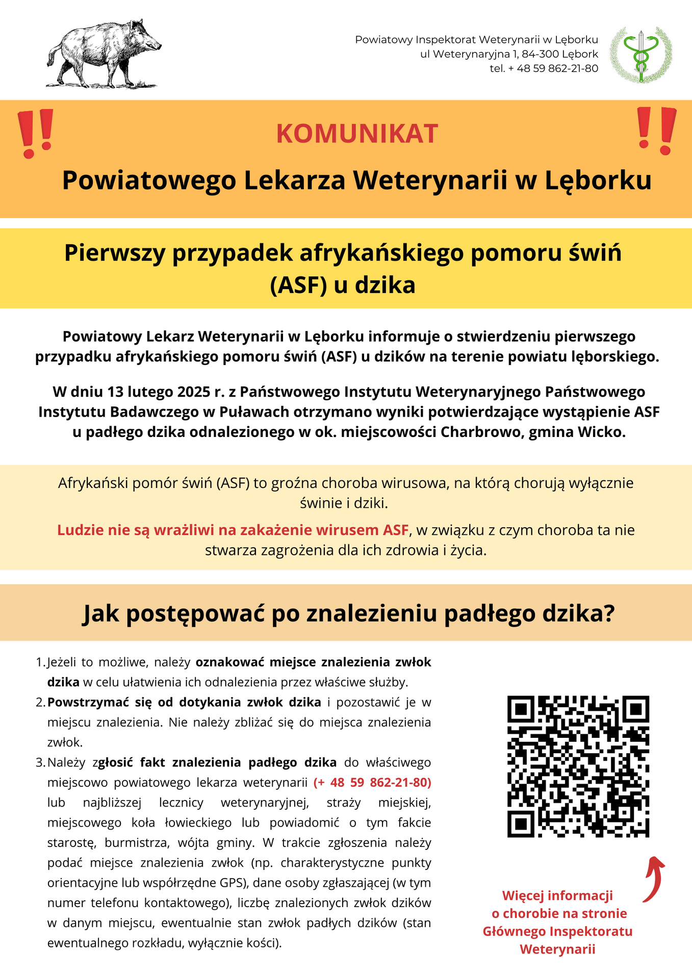 Pierwsze ognisko ASF u dzika na terenie powiatu