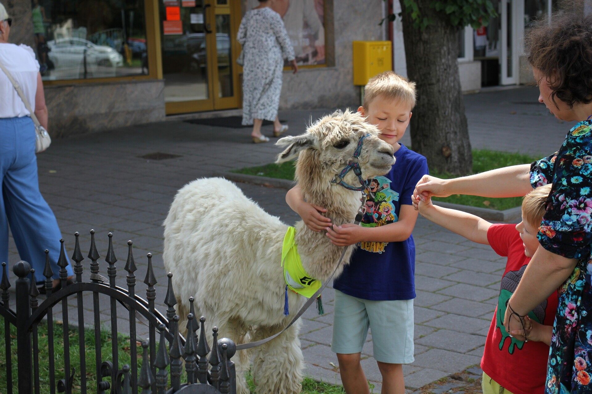 Letnie czwartki z książką i… niespodzianką!