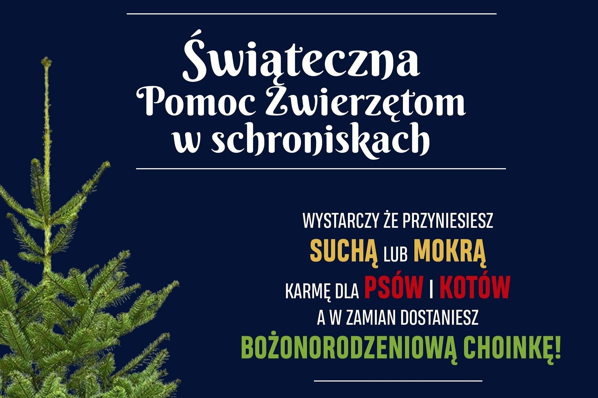 Świąteczna akcja pomocy zwierzętom – Powiat