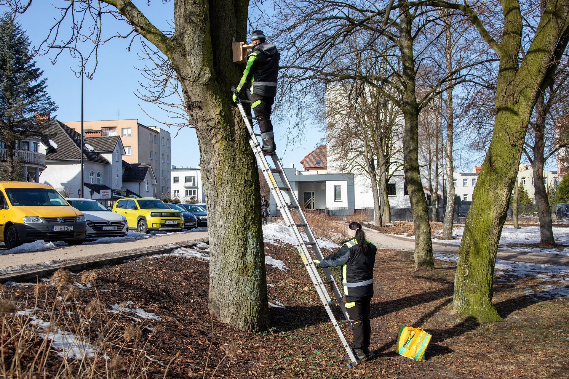 Wiosna w mieście - Lębork przygotował 230 budek