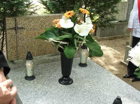 Wspomnienie M. Michalskiego