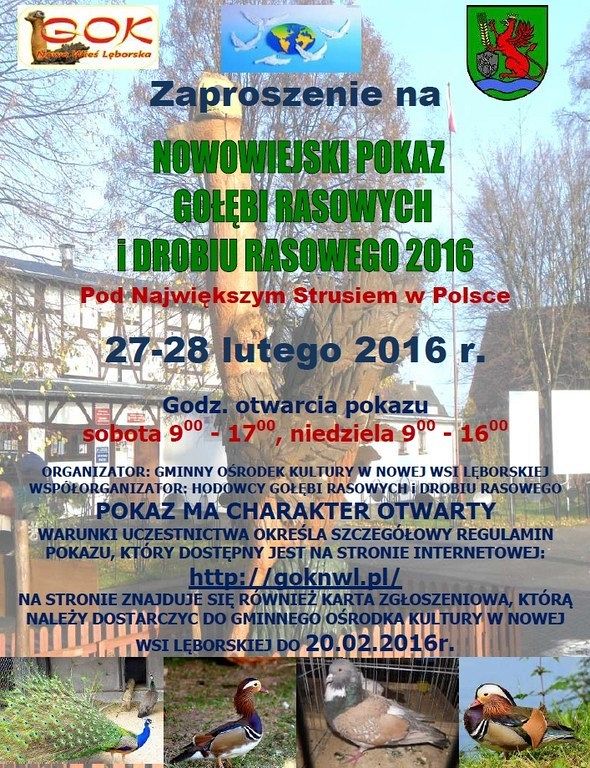 Nowowiejski pokaz gołębi i drobiu rasowego