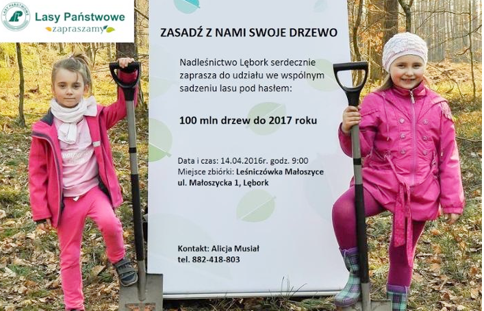 100 mln drzew do 2017 roku
