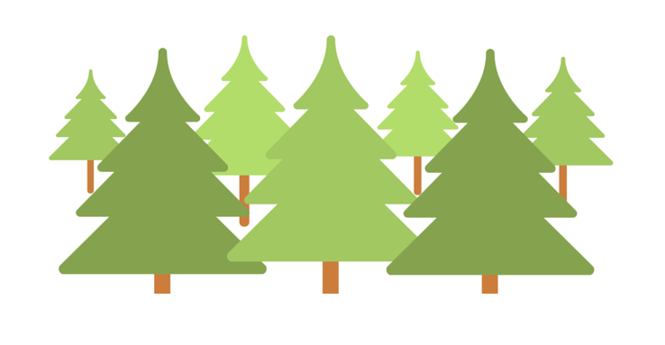 Odbiorą choinkę po świętach