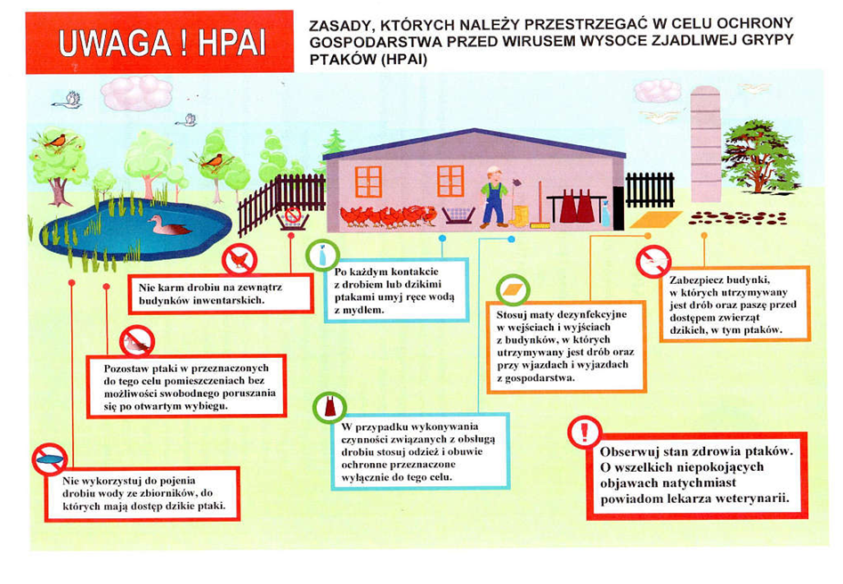 Uwaga hodowcy drobiu. Chrońcie gospodarstwa przed