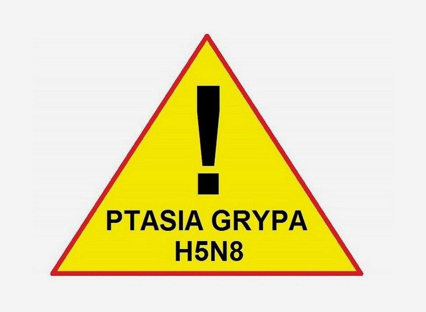 Uwaga hodowcy drobiu! Ptasia grypa nadal groźna!