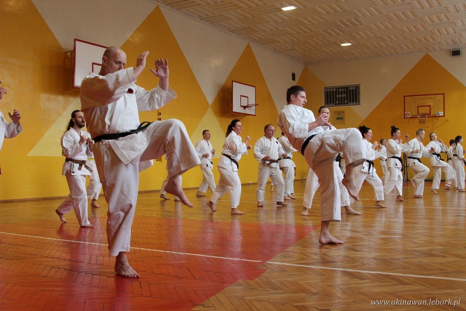 Szkolenie z Sensei George Andrews w Lęborku
