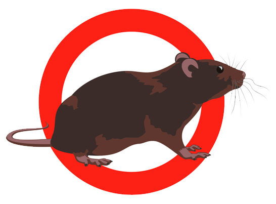 Uwaga! Zbliża się termin deratyzacji