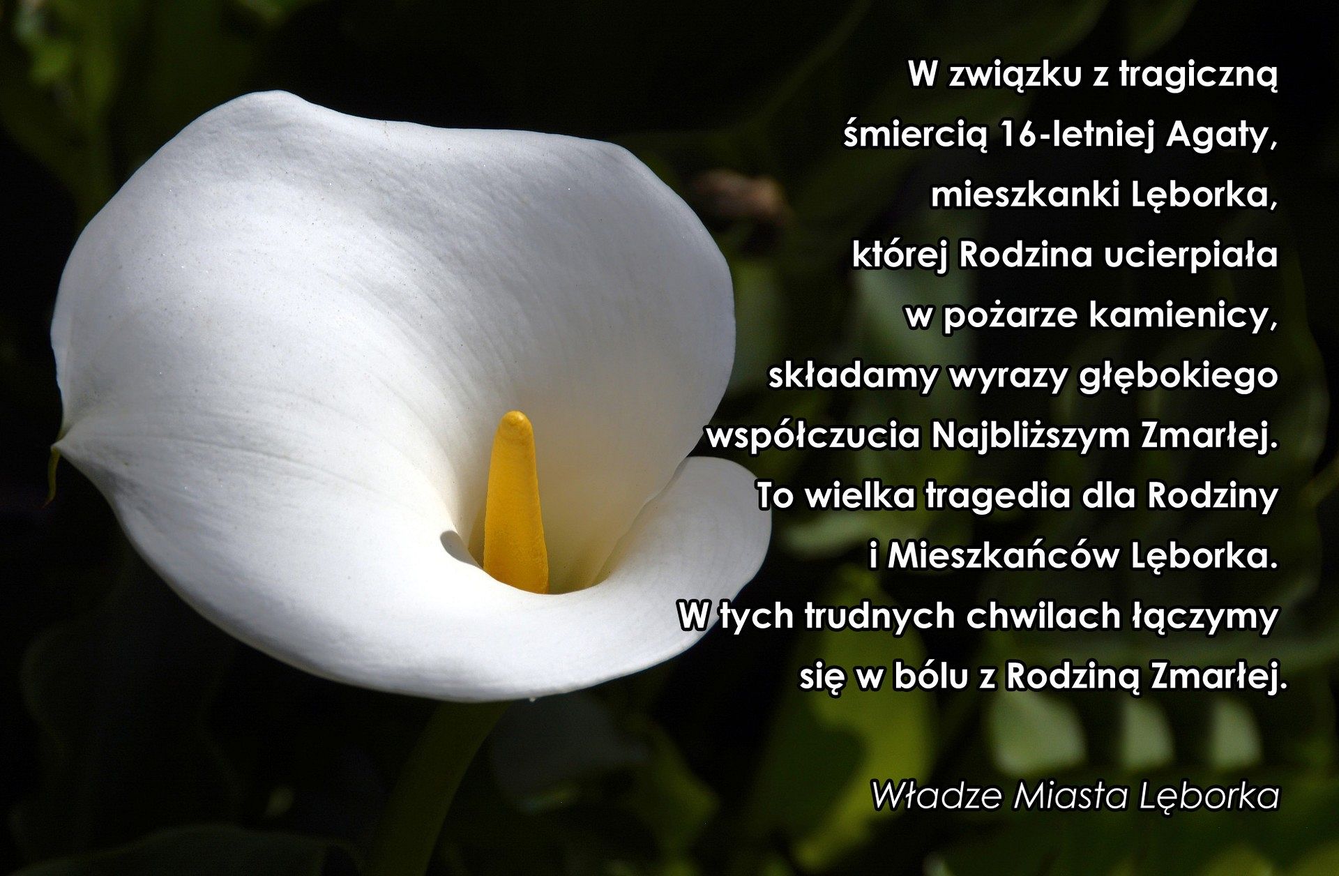 Wyrazy współczucia