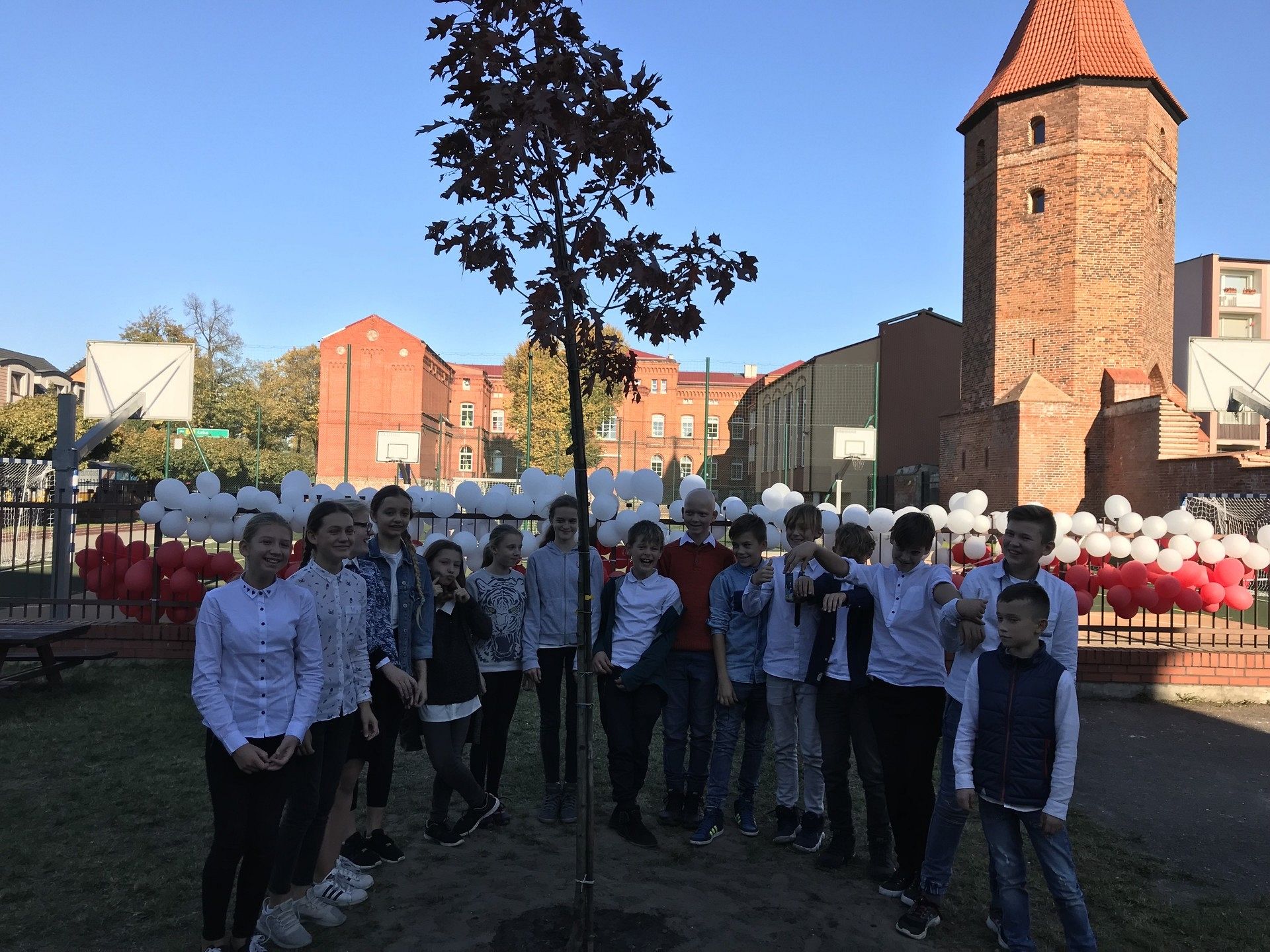 „Dąb Niepodległości” w Szkole Podstawowej nr 3 w