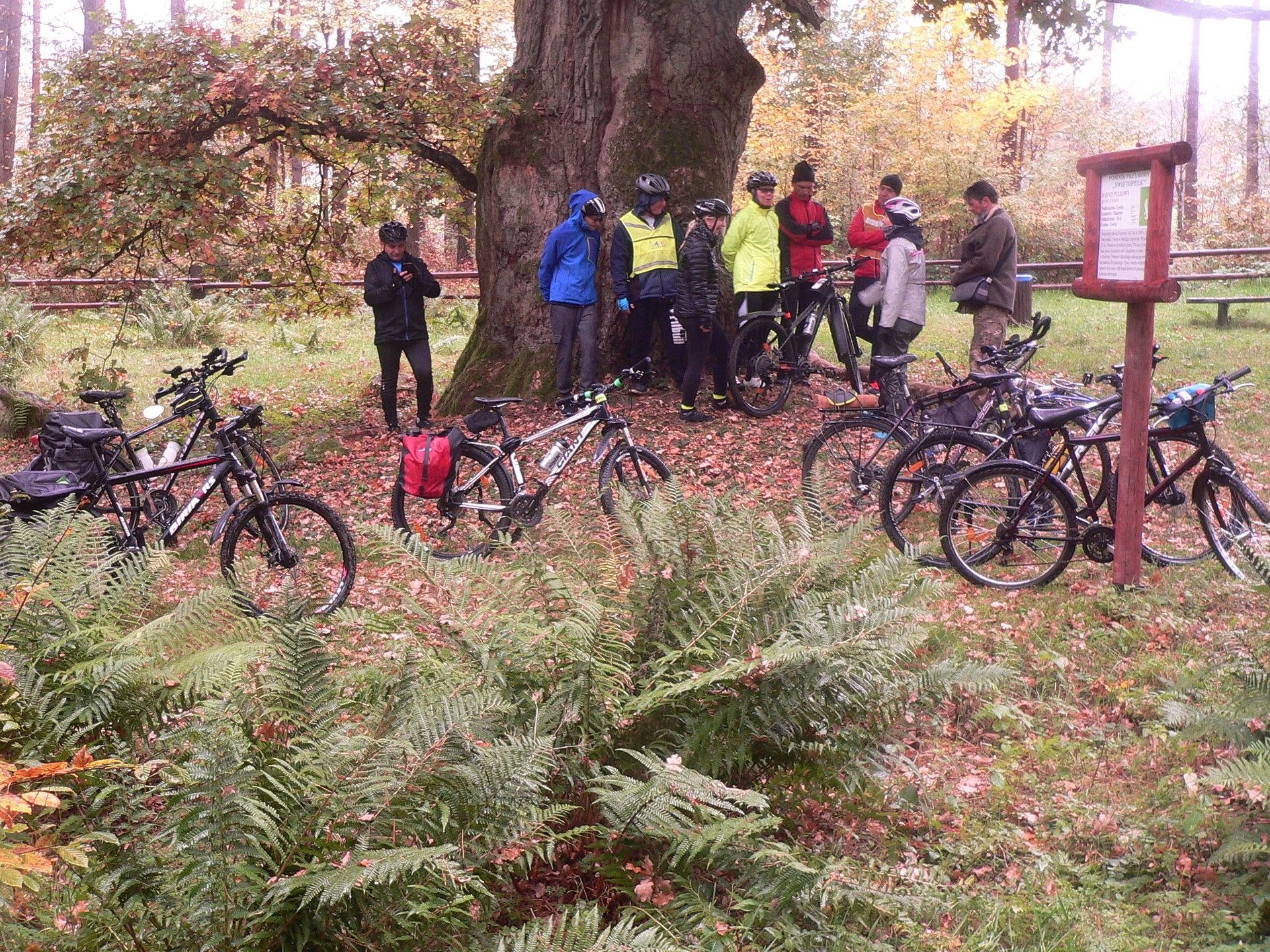Rajd Pocztylion - rowerami po ziemi lęborskiej