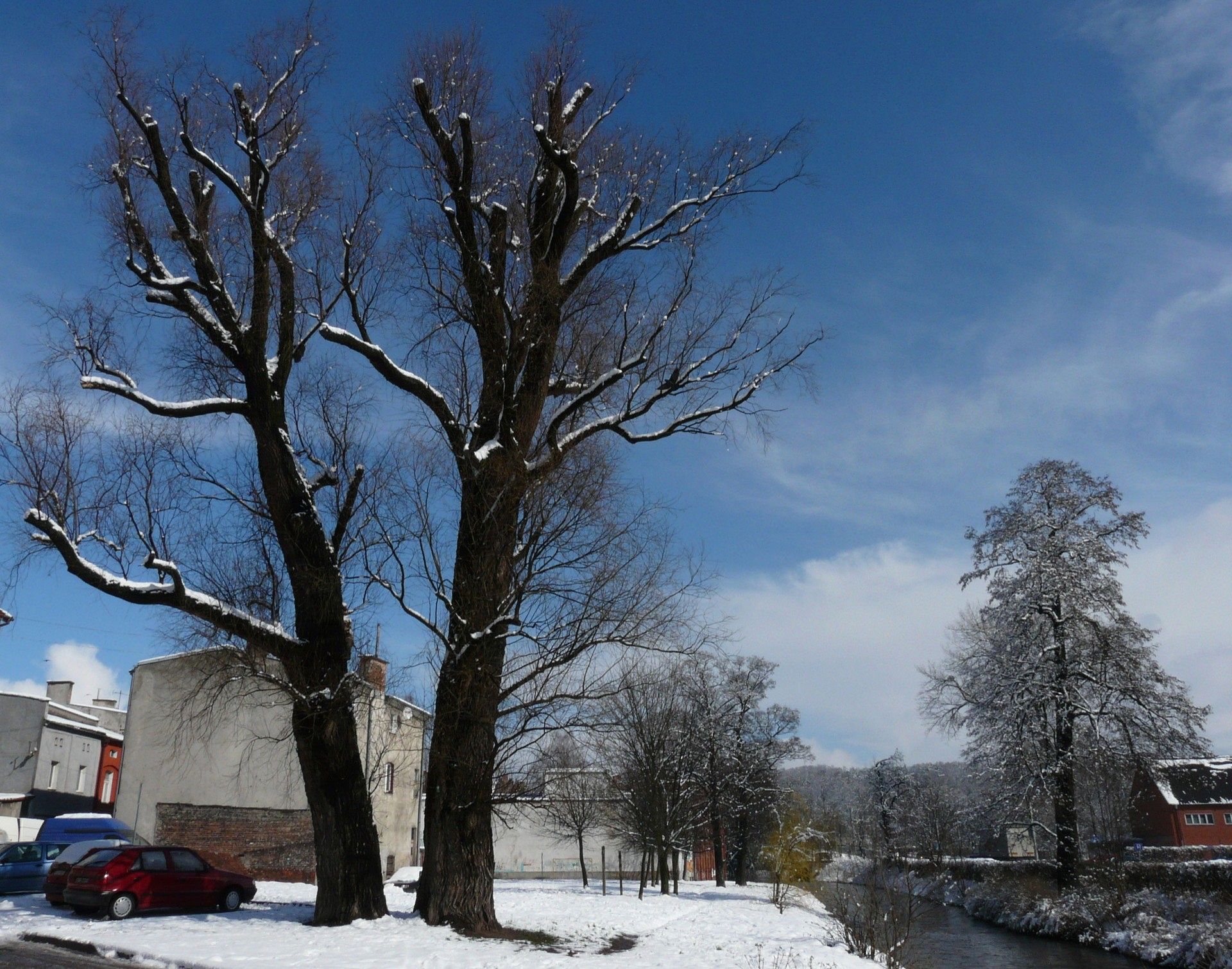 Na ratunek „Wodniczkom”