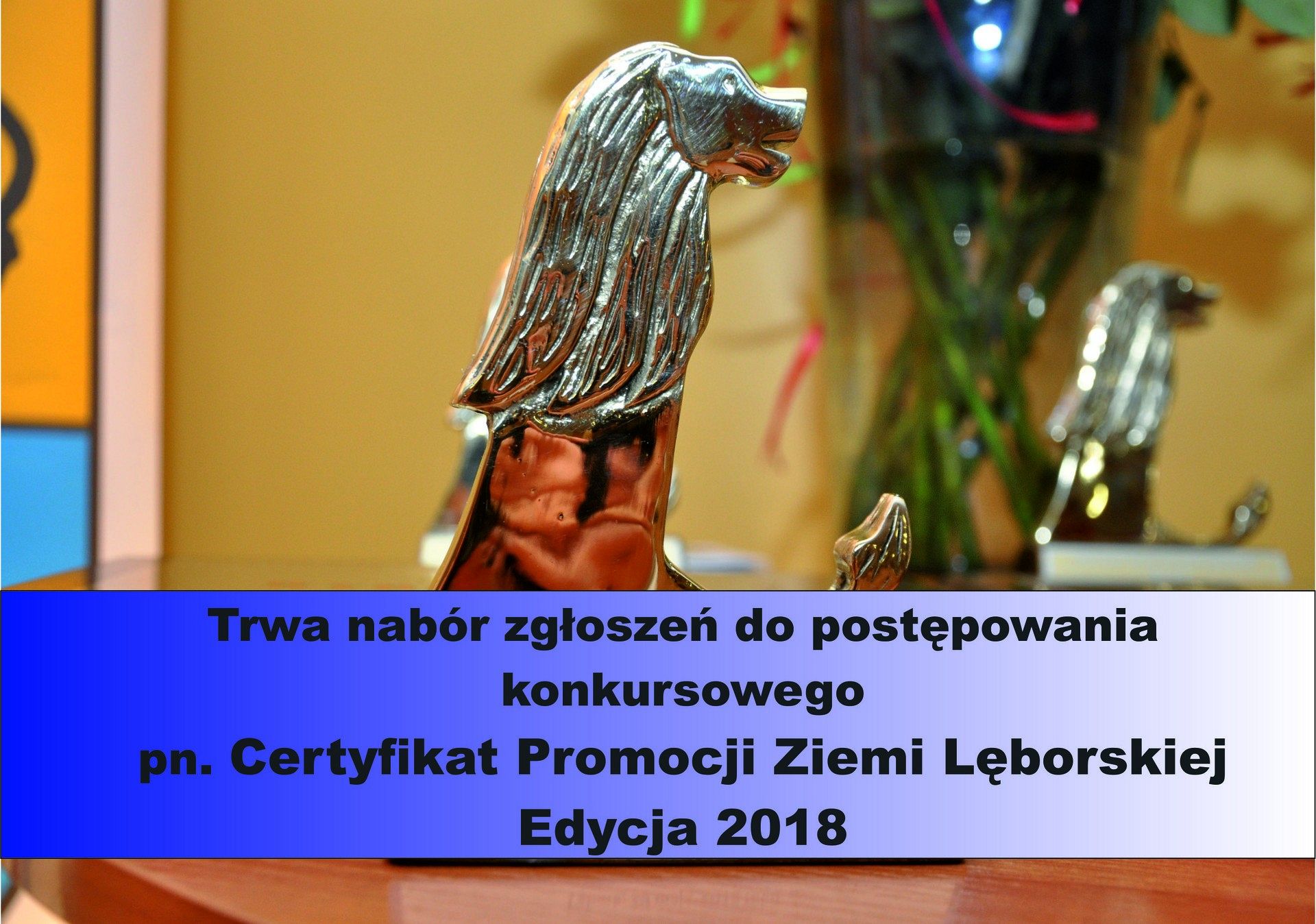 Certyfikat Promocji Ziemi Lęborskiej – Edycja 2018