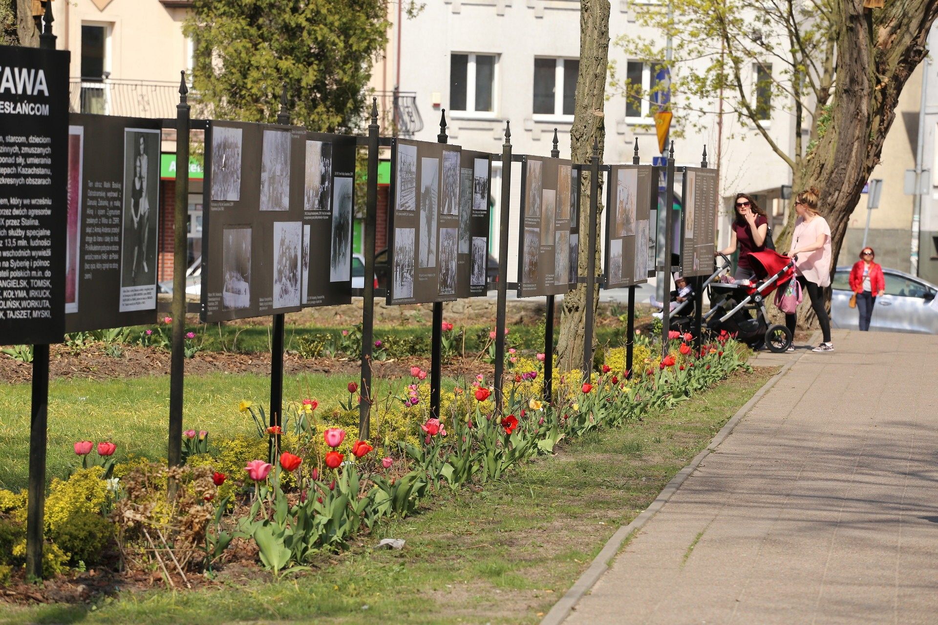Wiosennie w lęborskim parku
