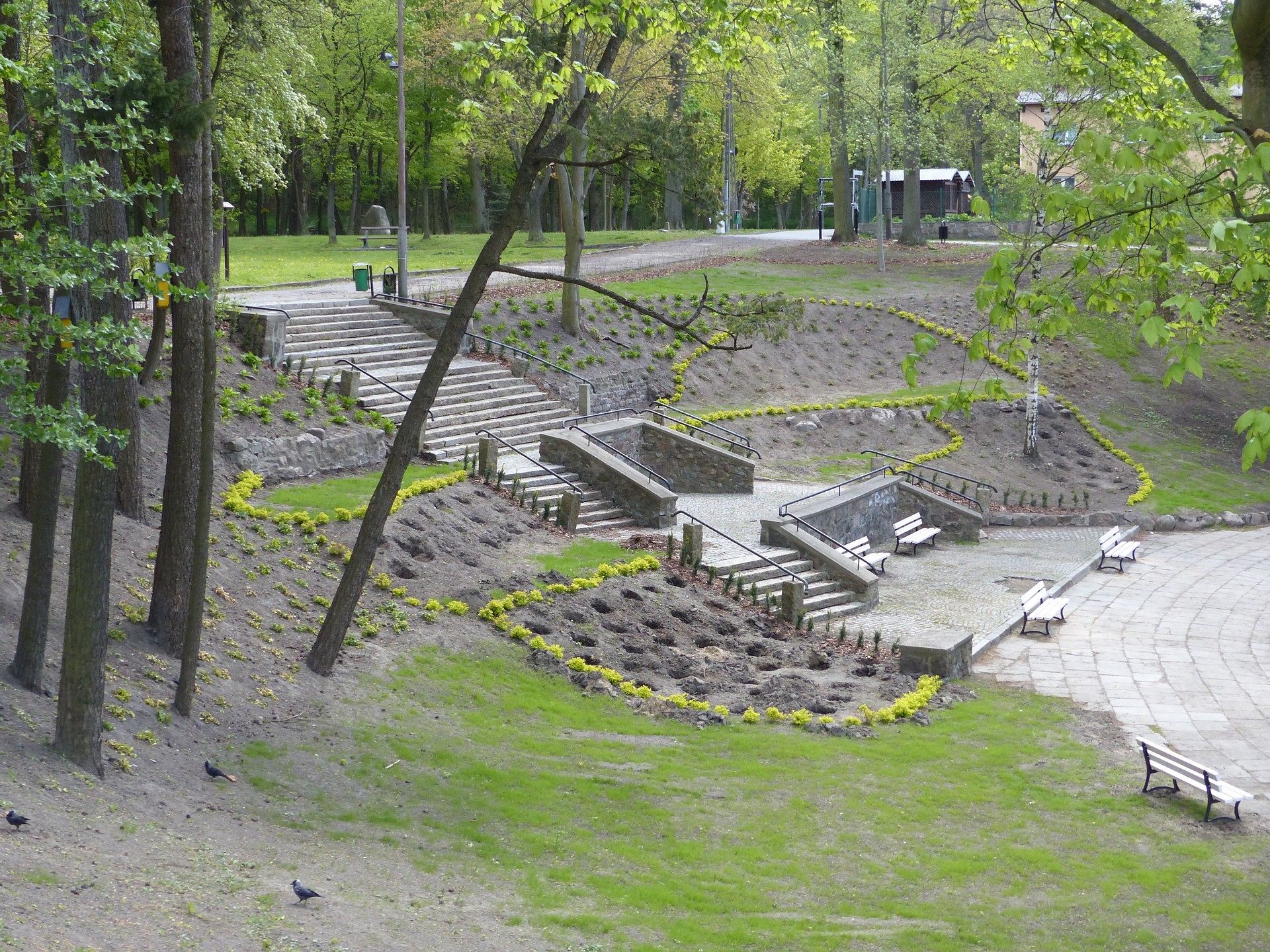 Staw w Parku Chrobrego z nowymi ławkami