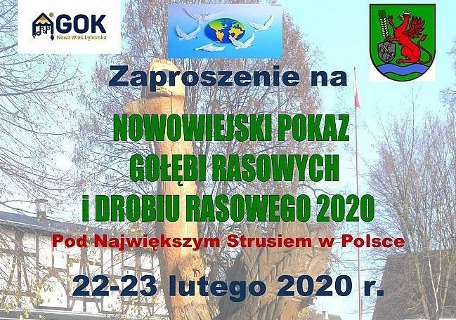 IV nowowiejski pokaz gołębi rasowych i drobiu 35550