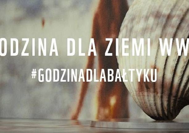 Lębork w akcji WWF. 27 marca na godzinę gasimy 38201