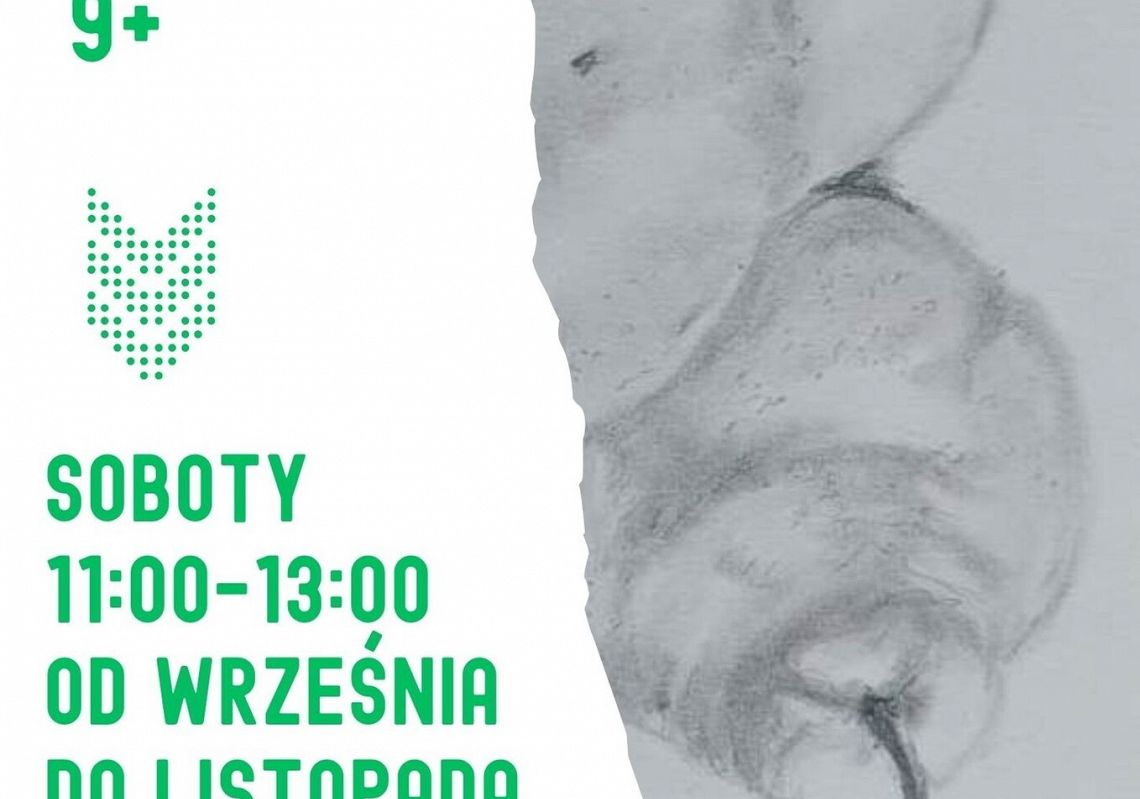 Pencil drawing 9+ 57000