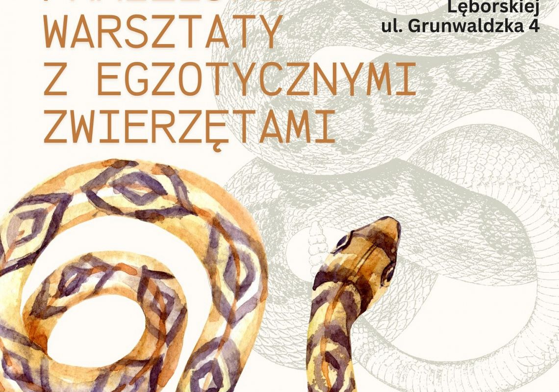 Warsztaty rodzinne ze zwierzętami egzotycznymi 58722
