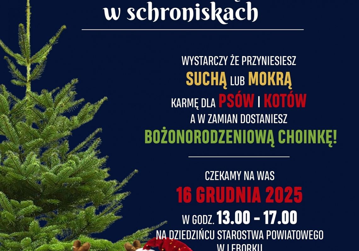 Świąteczna akcja pomocy zwierzętom 69906