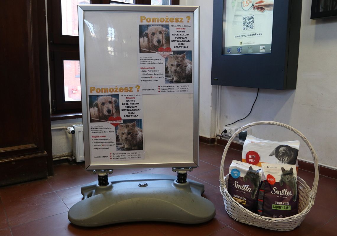 W ratuszu trwa zbiórka dla zwierząt 71461