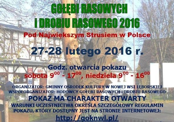 Nowowiejski pokaz gołębi i drobiu rasowego 13968