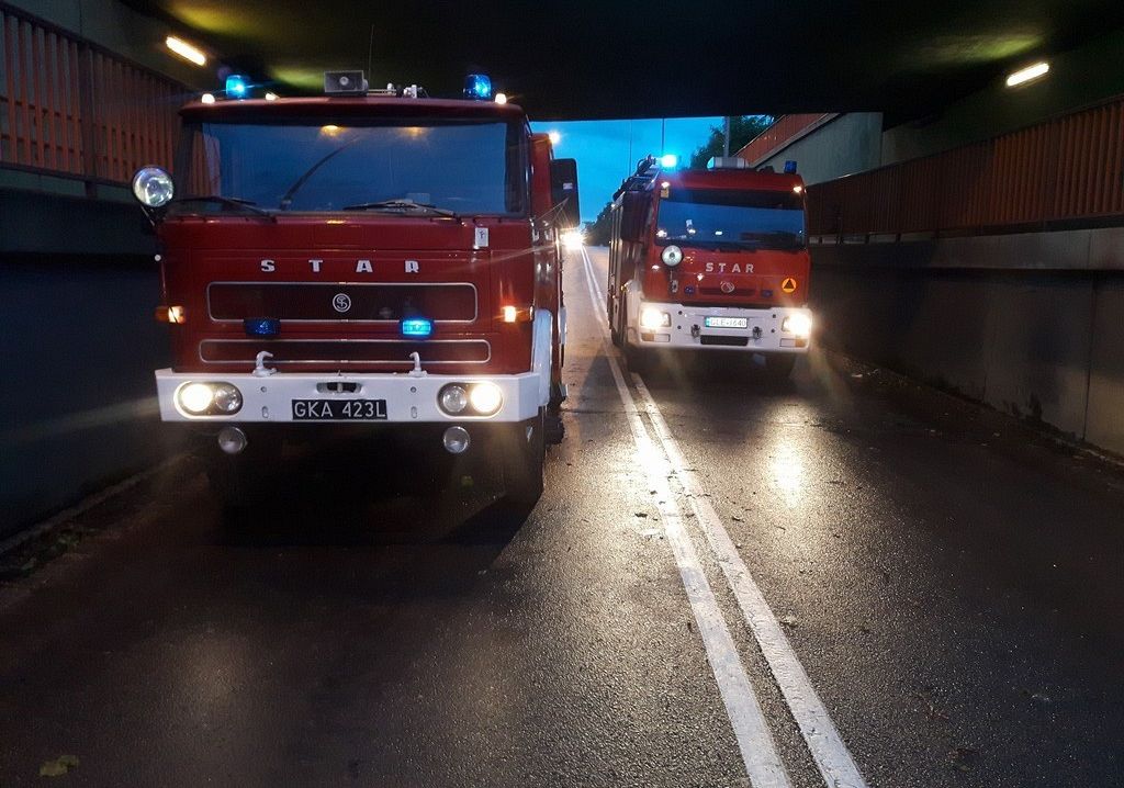 Strażacy z OSP usuwali skutki nawałnicy 20600