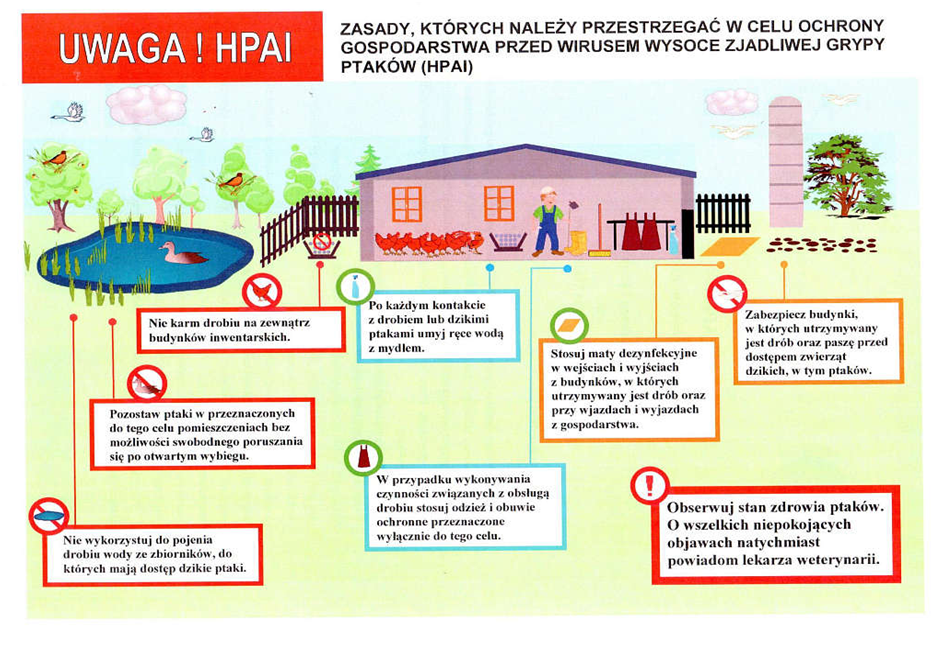 Uwaga hodowcy drobiu. Chrońcie gospodarstwa przed 21338