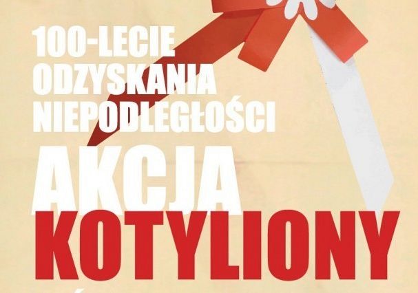 Akcja kotyliony 27336