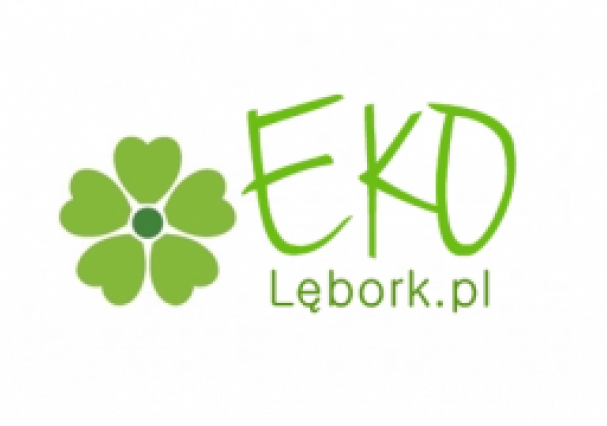 Ekologiczny konkurs plastyczny Eko-DINO 29080