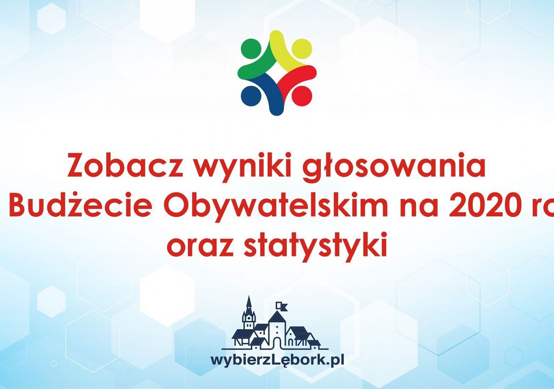 Wyniki głosowania oraz statystyki - Budżet 31508