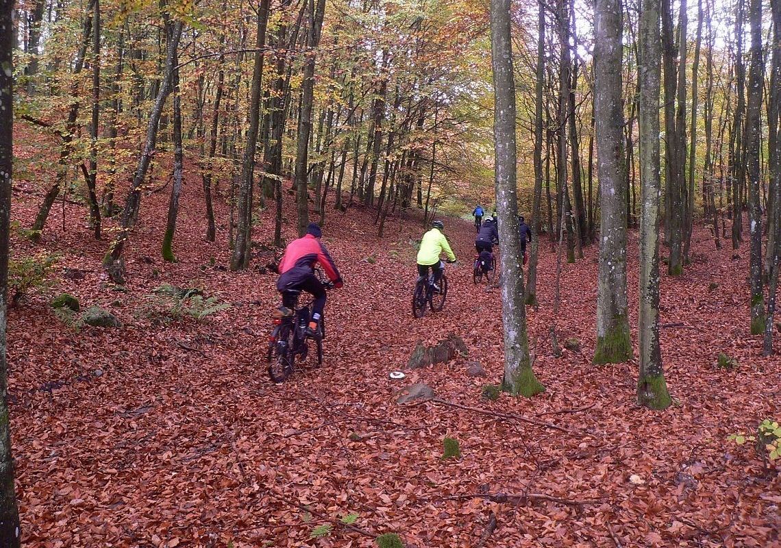 Rajd Pocztylion 2019 33511