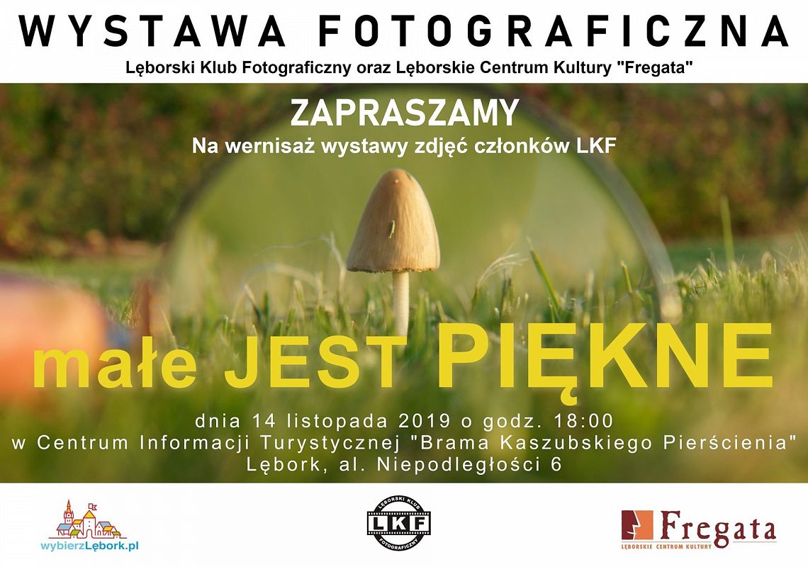 Małe jest piękne - wystawa fotograficzna 33724