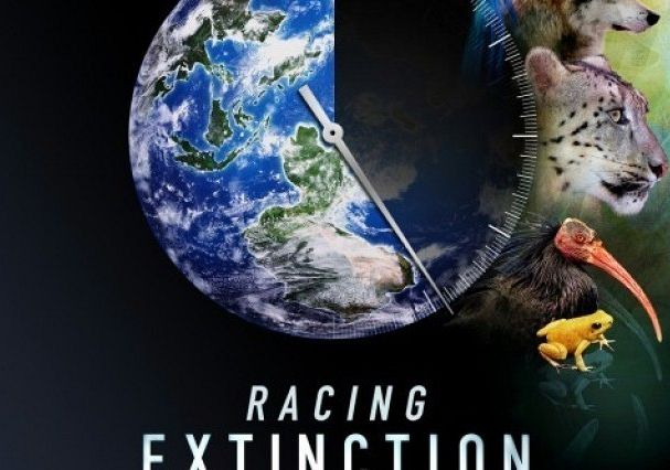 „Ginący świat” w listopadowym DKFie 33840