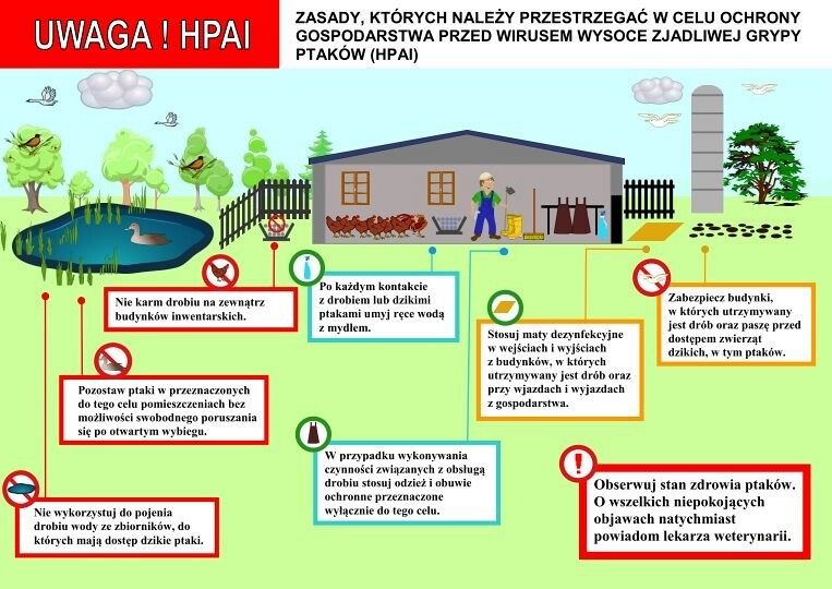 Zasady ochrony drobiu przed chorobą 59227