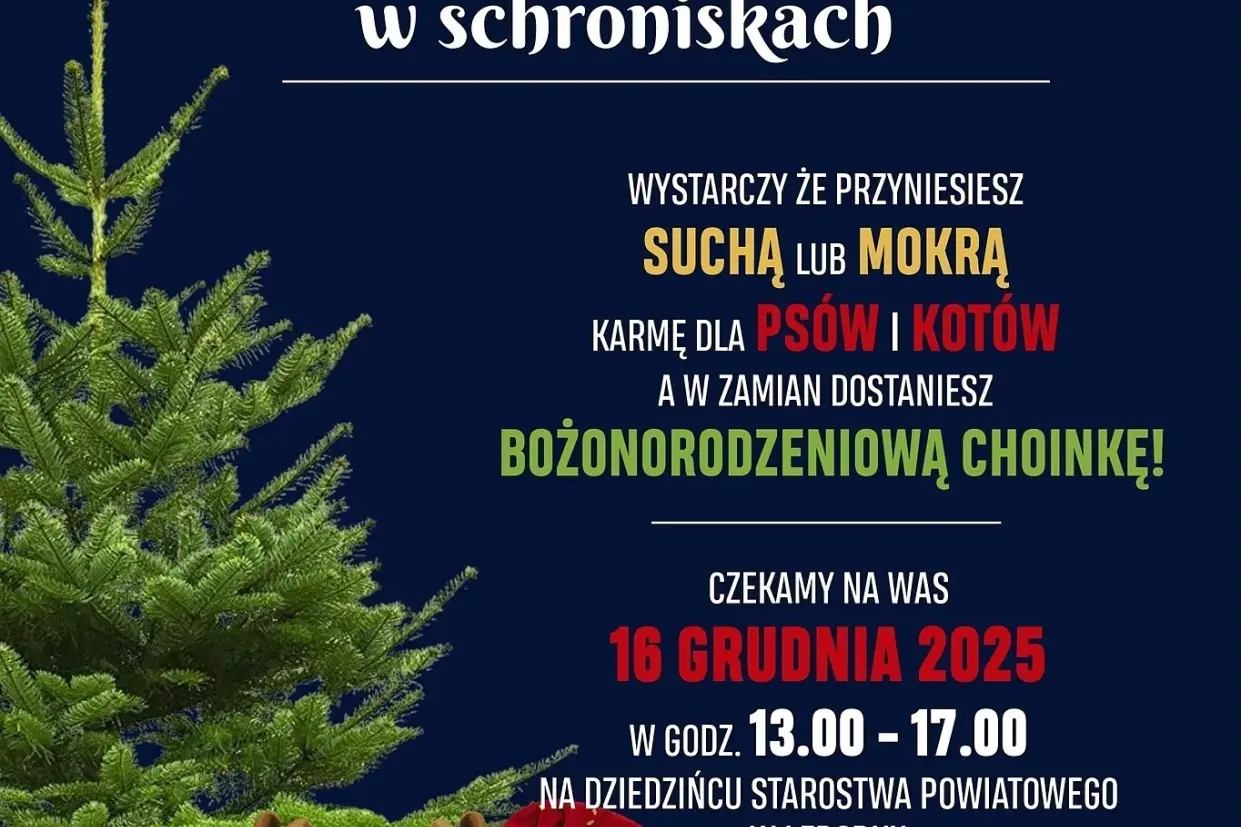 Świąteczna akcja pomocy zwierzętom