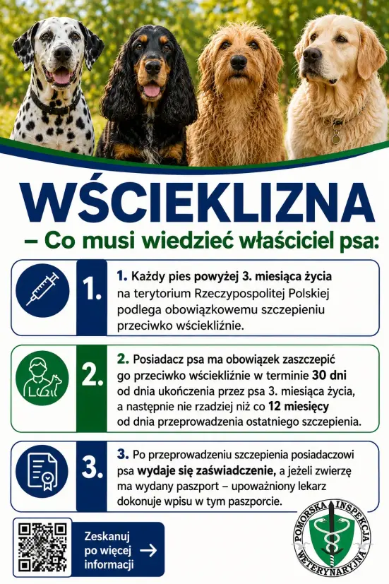 Szczepienia przeciwko wściekliźnie – ważna informacja dla właścicieli zwierząt
