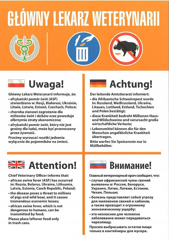 Nie pozostawiaj jedzenia na przydrożnych parkingach – zagrożenie ASF!