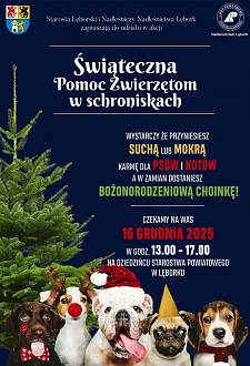 Świąteczna akcja pomocy zwierzętom