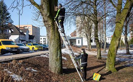Czytaj o: Wiosna w mieście - Lębork przygotował 230 budek