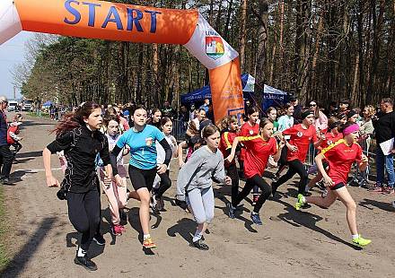 Czytaj o: Rozpoczynamy Grand Prix Lęborka sezonu 2023/24