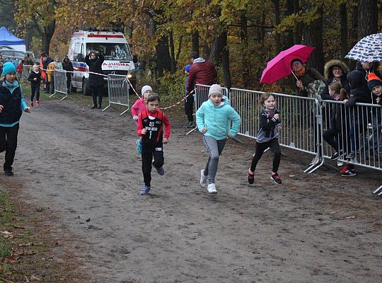 Indywidualne Biegi Przełajowe z okazji Święta 34294