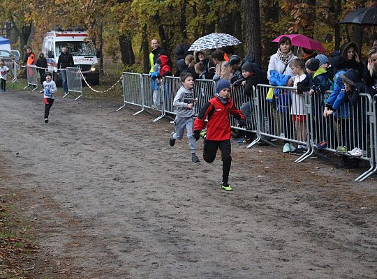 Indywidualne Biegi Przełajowe z okazji Święta 34301