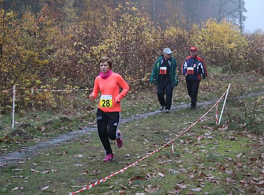 Indywidualne Biegi Przełajowe z okazji Święta 34338
