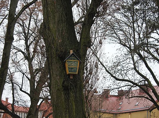 „Mini Park” nad rzeką Łebą zmienił oblicze 34700